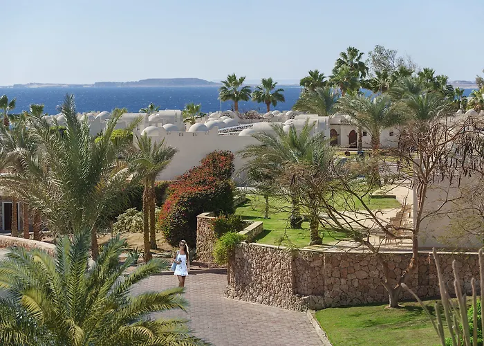Reef Oasis Aqua Park 4* Sarm es-Sejk
