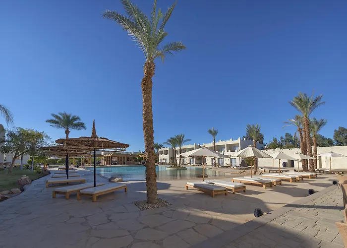 Resort Reef Oasis